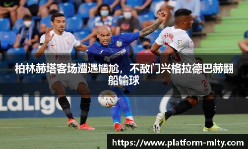 米兰体育官网