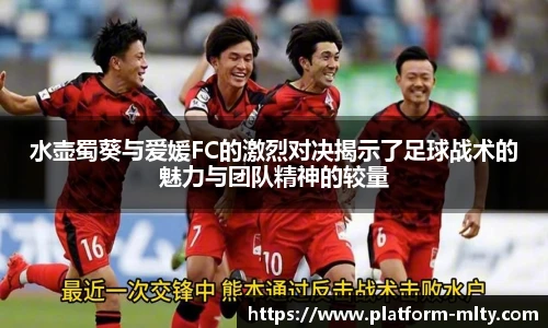 米兰体育官网